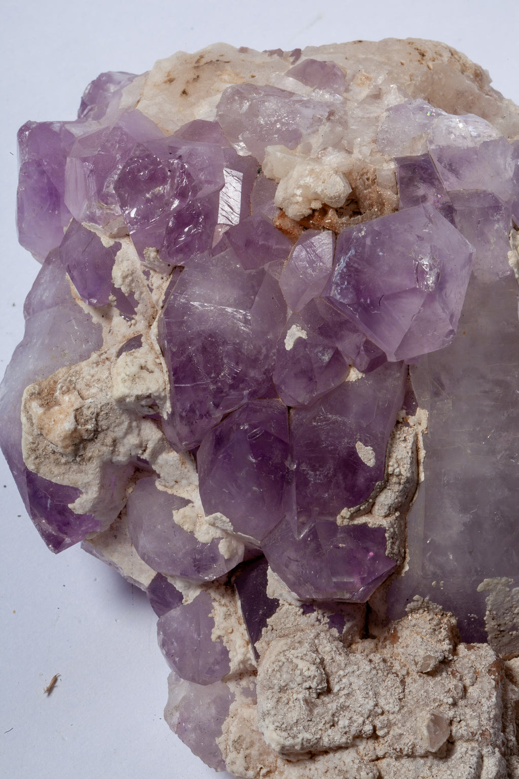 Ametista di Osilo Naturale – Cristalli Viola su Matrice Calcarea