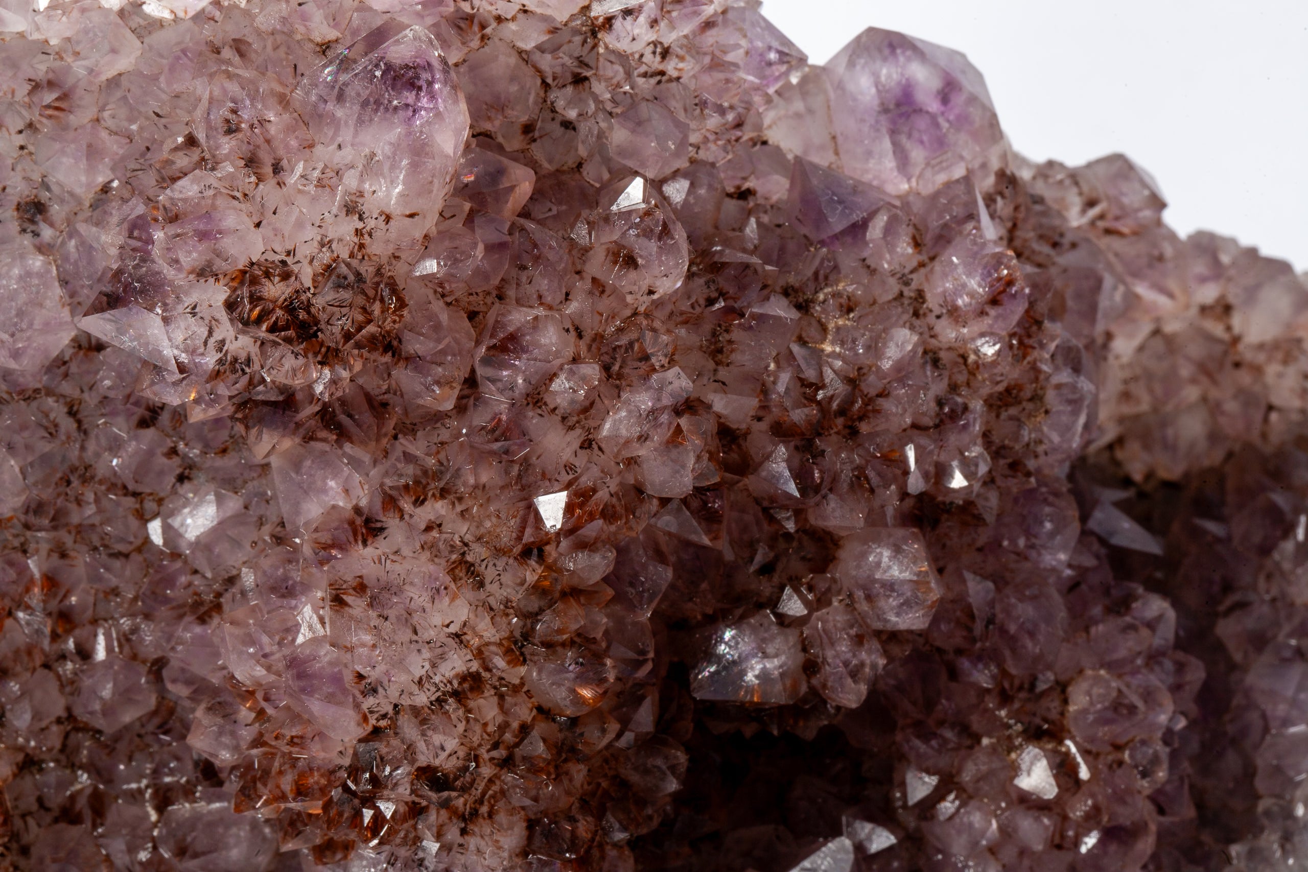 Cluster di Ametista Naturale – Energia e Trasformazione