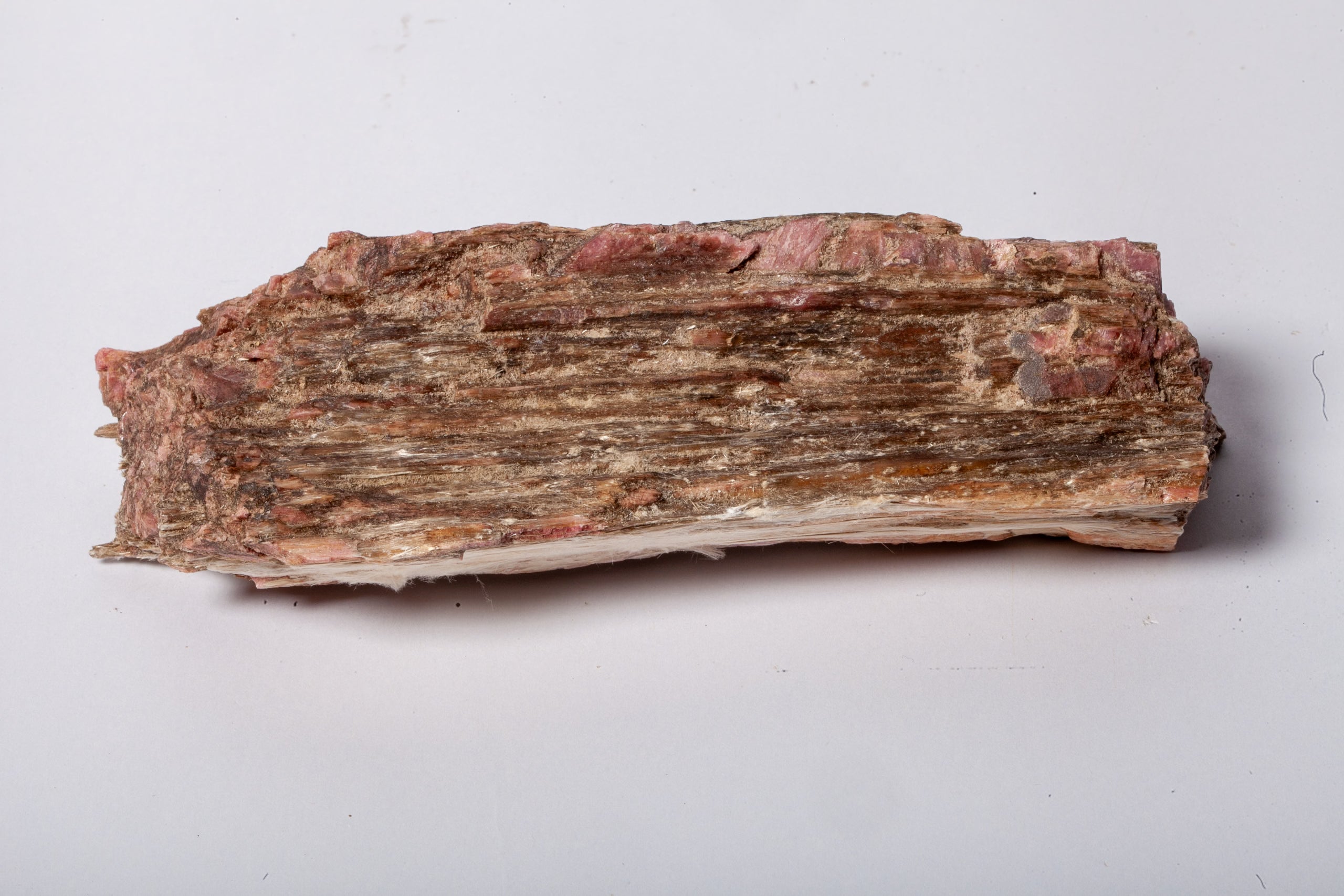 Formalina Rosa – Legno Fossile con Venature Rosse