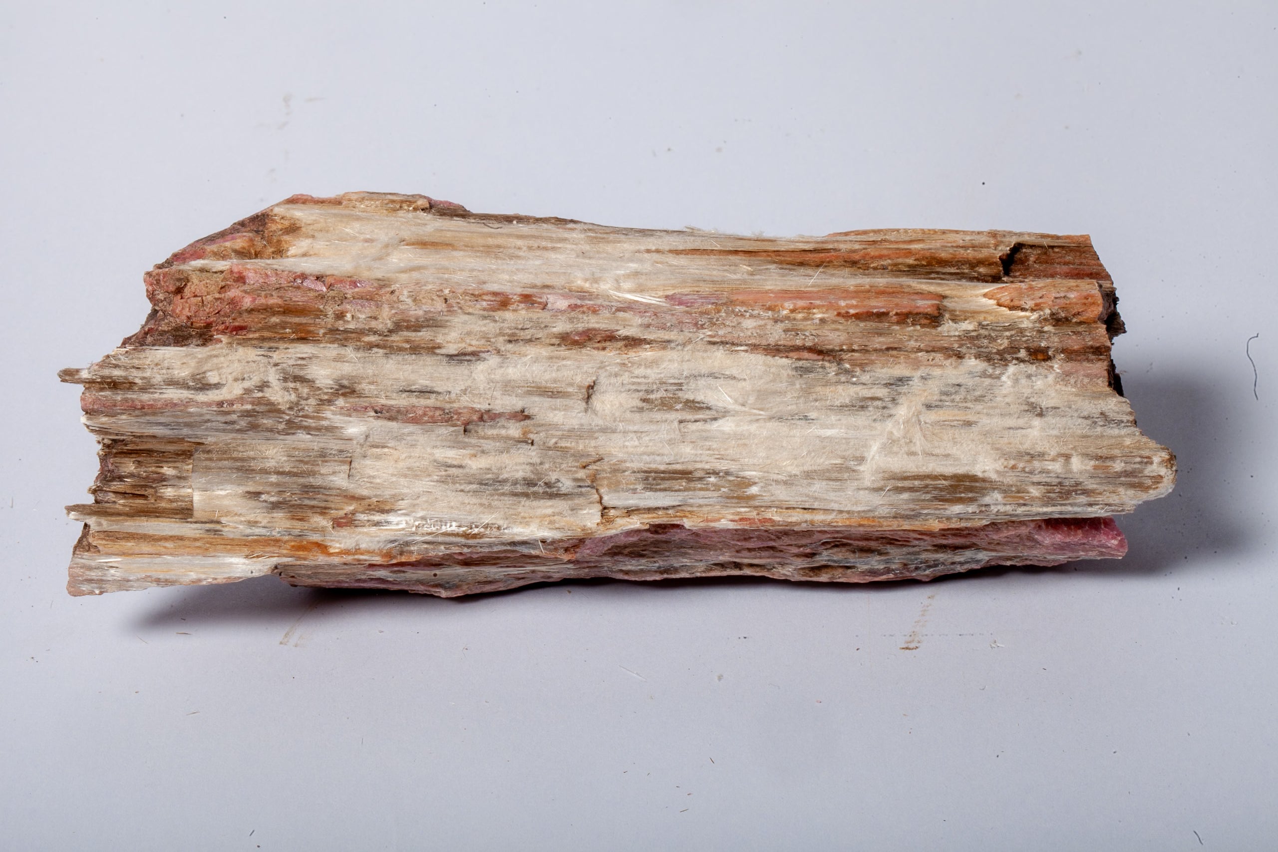Formalina Rosa – Legno Fossile con Venature Rosse