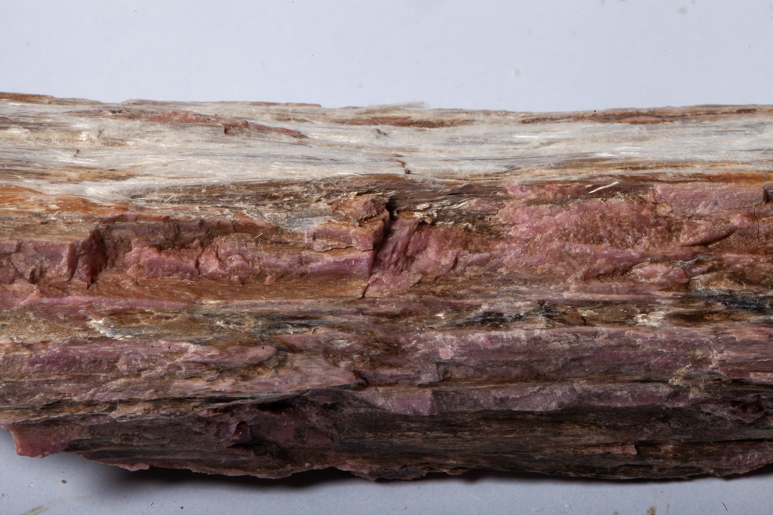 Formalina Rosa – Legno Fossile con Venature Rosse