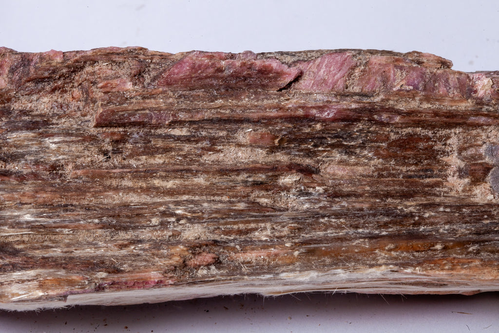 Formalina Rosa – Legno Fossile con Venature Rosse