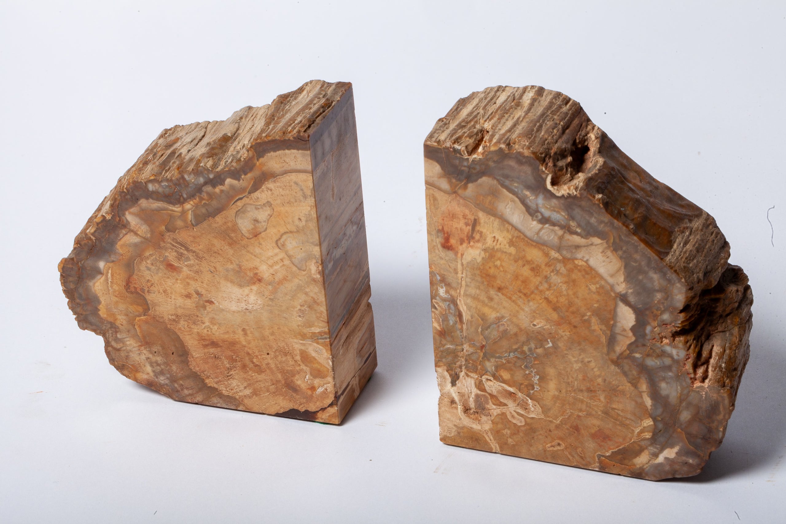 Legno Fossile — Coppia di Fermalibri Naturali