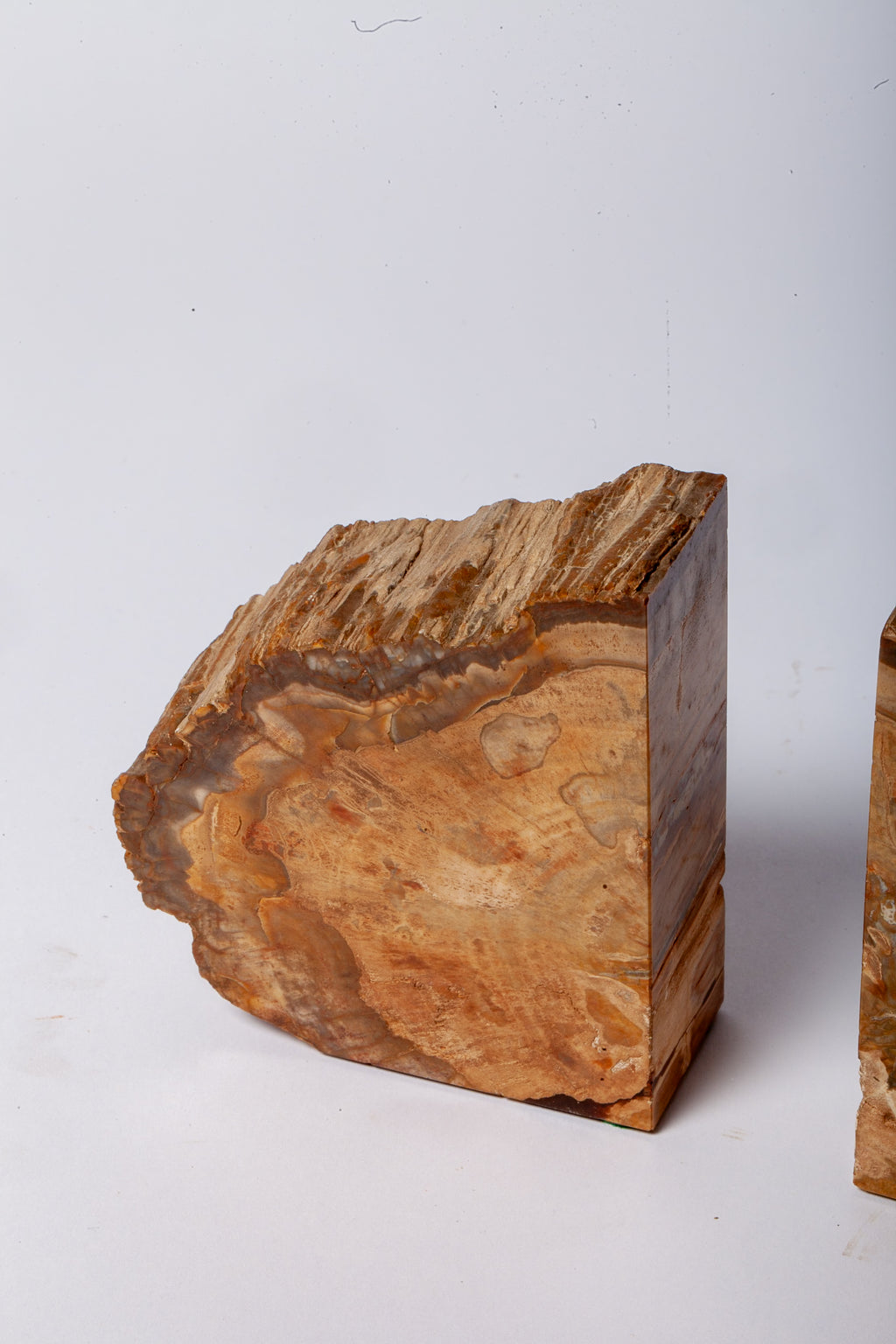 Legno Fossile — Coppia di Fermalibri Naturali