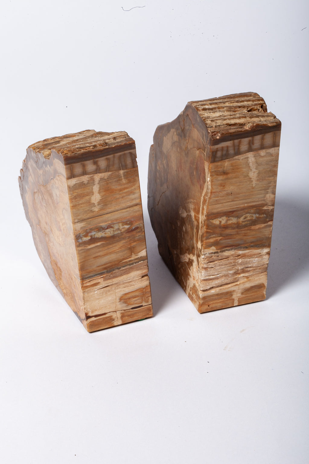 Legno Fossile — Coppia di Fermalibri Naturali