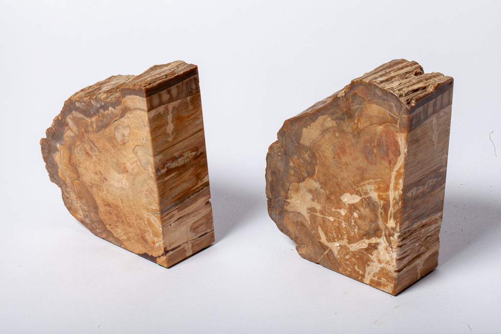 Legno Fossile — Coppia di Fermalibri Naturali