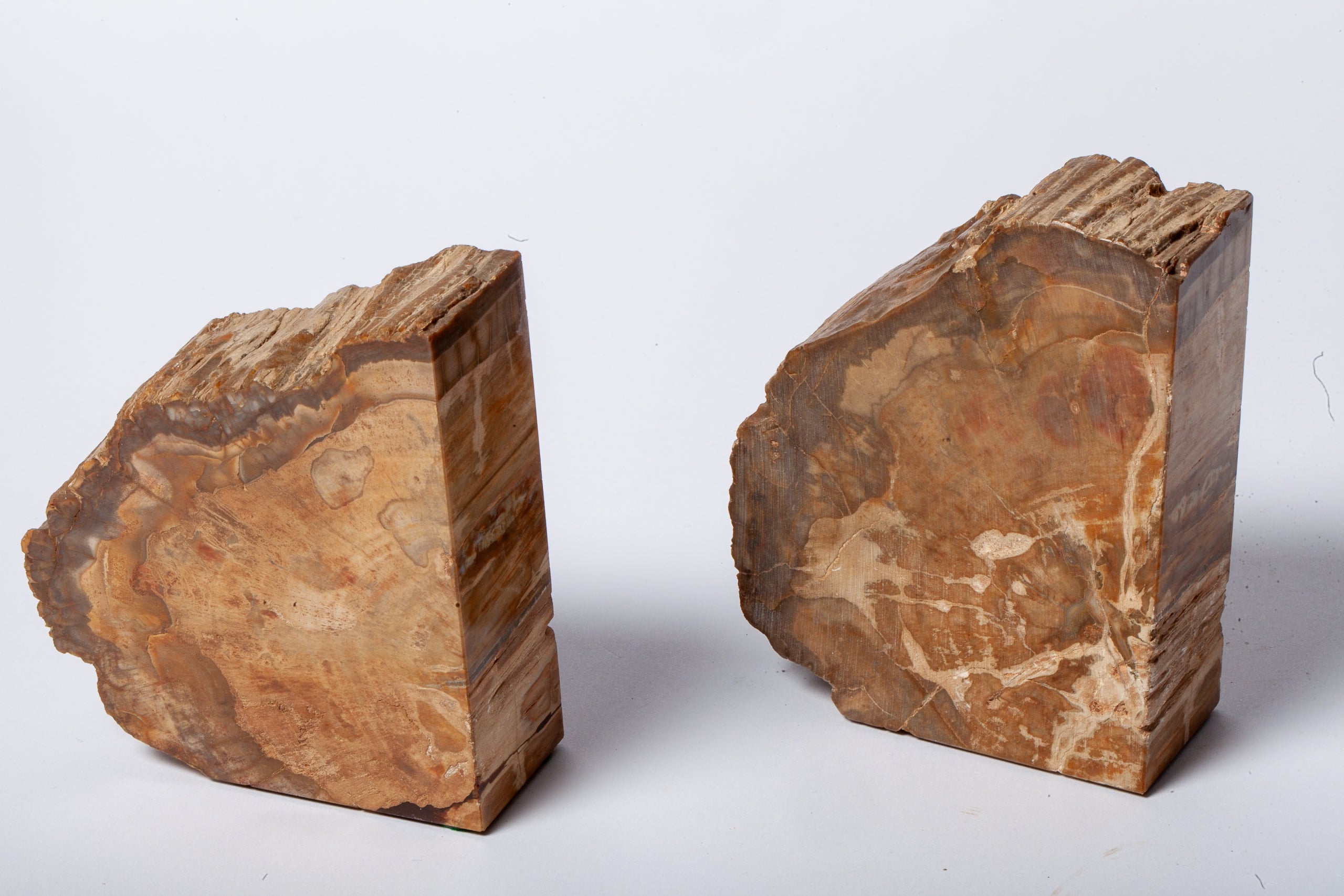 Legno Fossile — Coppia di Fermalibri Naturali