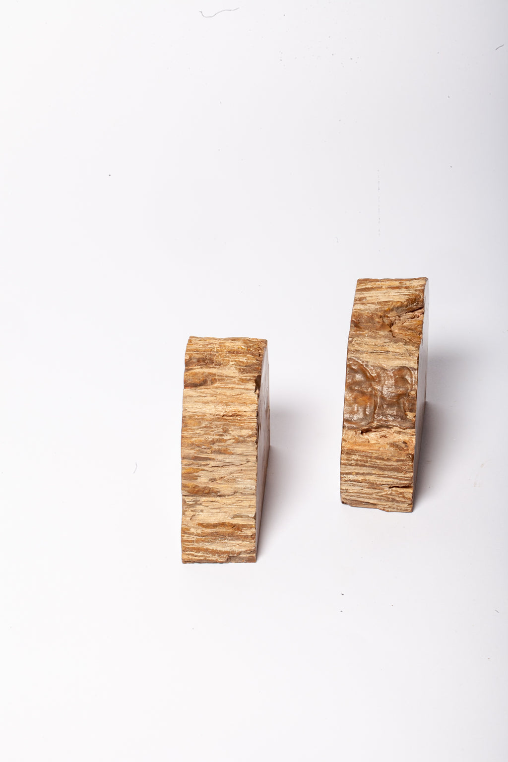 Legno Fossile — Coppia di Fermalibri Naturali