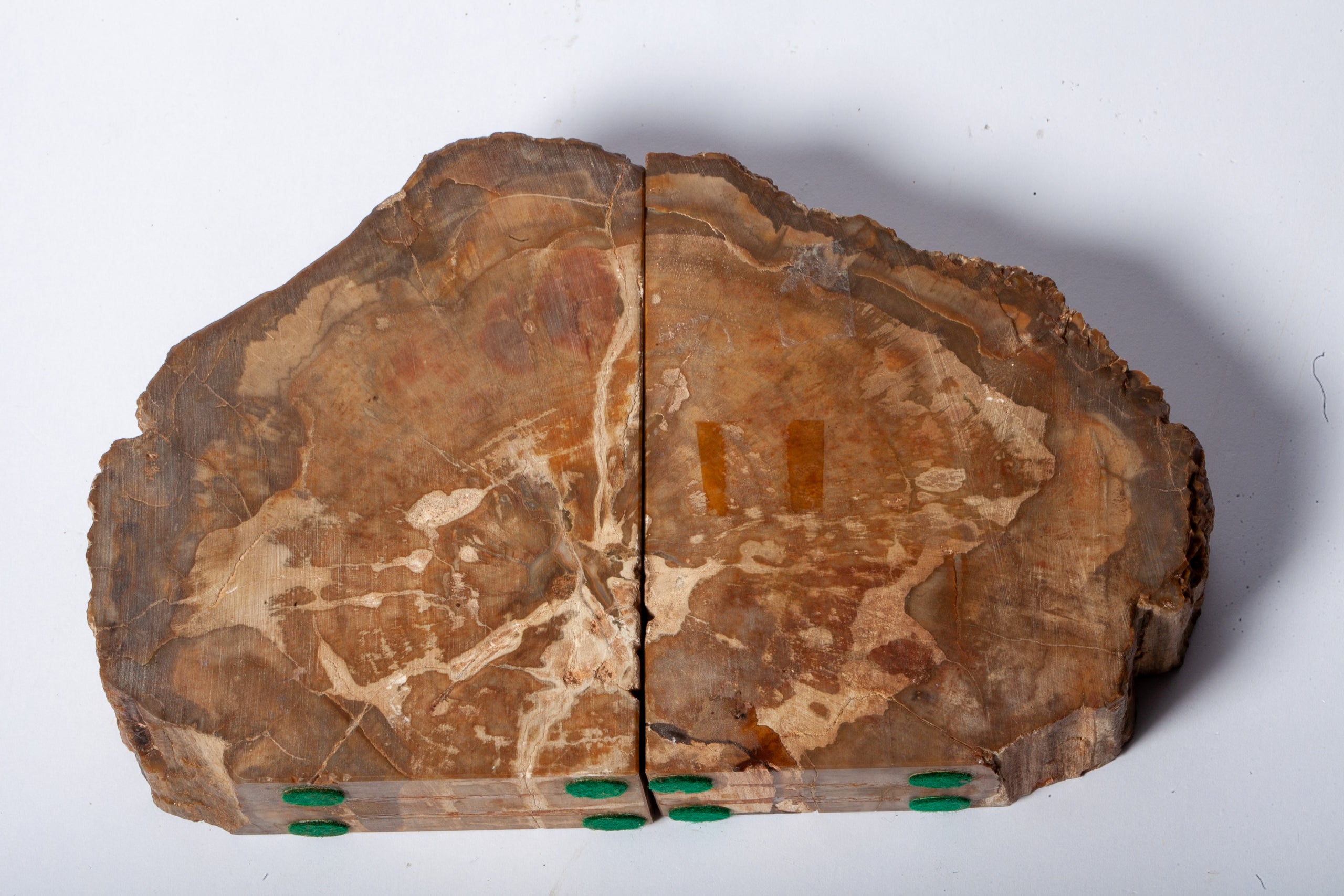 Legno Fossile — Coppia di Fermalibri Naturali