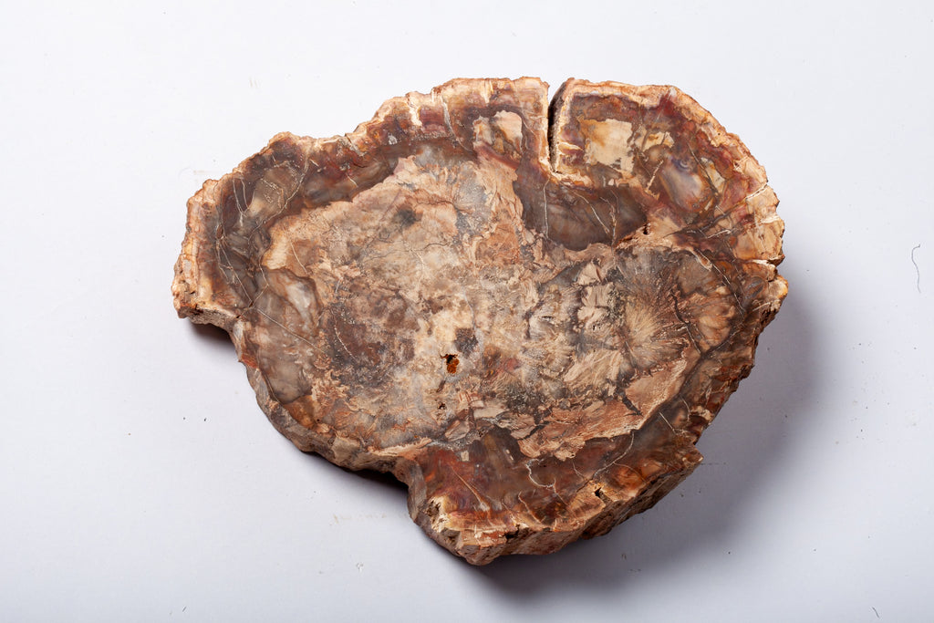 Legno Fossile — Grande Sezione con Cuore Grigio Lavanda
